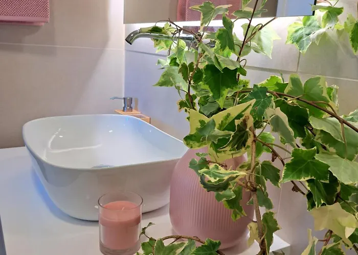 빌라 Boavista Luxury *